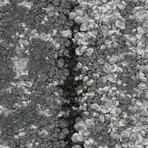 30201535 – Process (Community)
