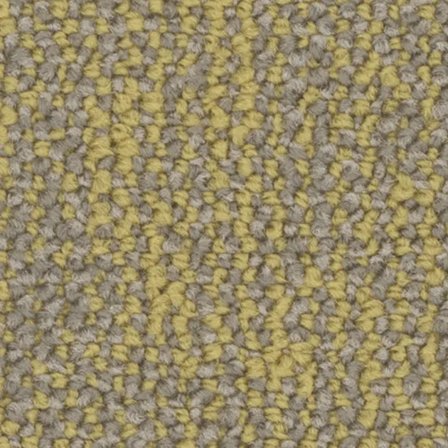 31405225 – Boundless (Living Systems)