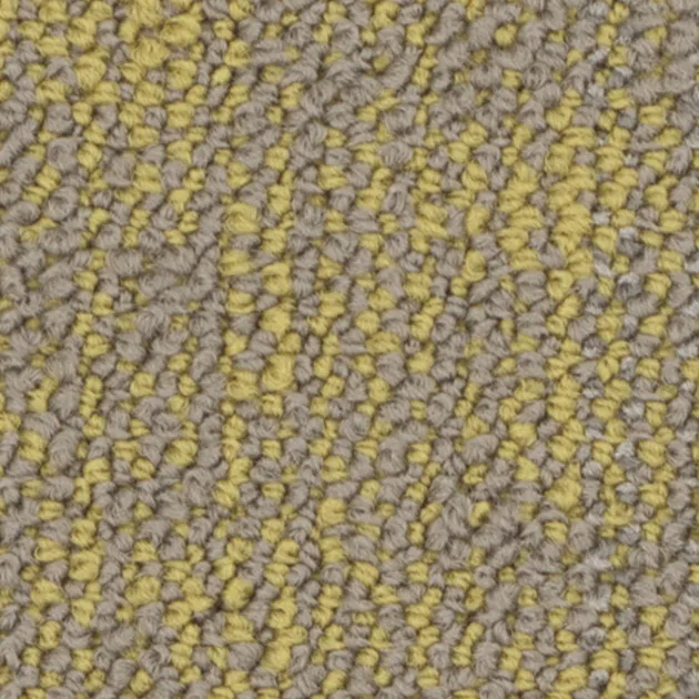 31505225 – Source (Living Systems)
