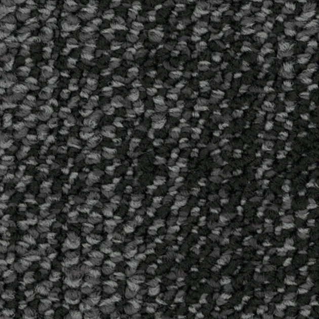31505505 – Source (Living Systems)