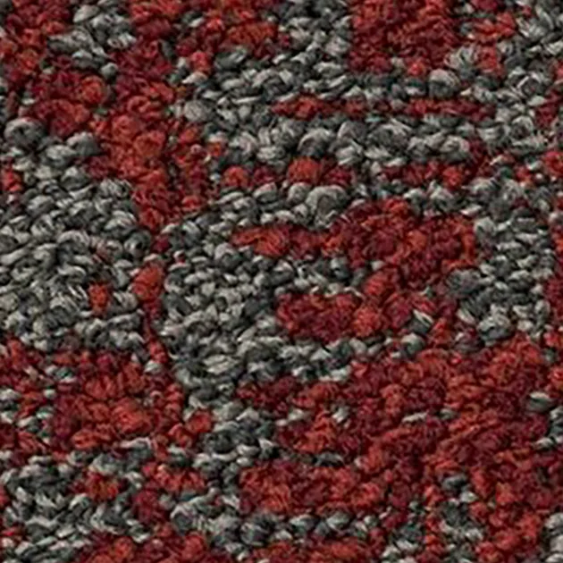 37171870 – Enclave (Shifting Fields)