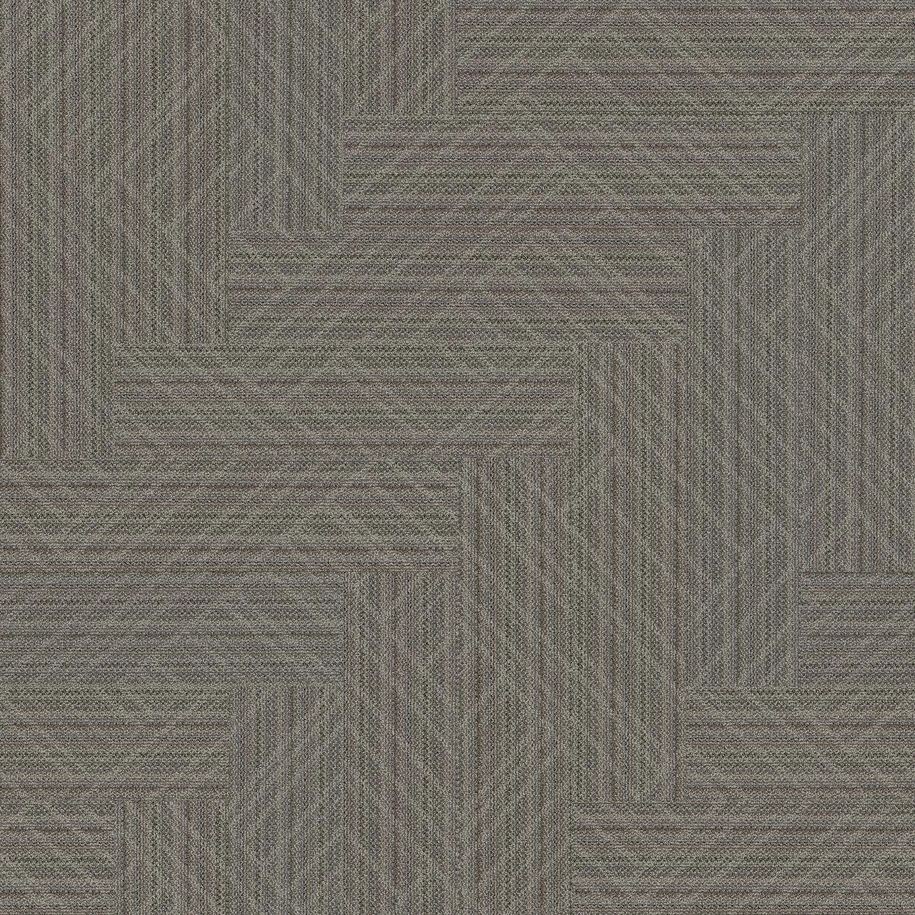 49650518 — ảnh 11