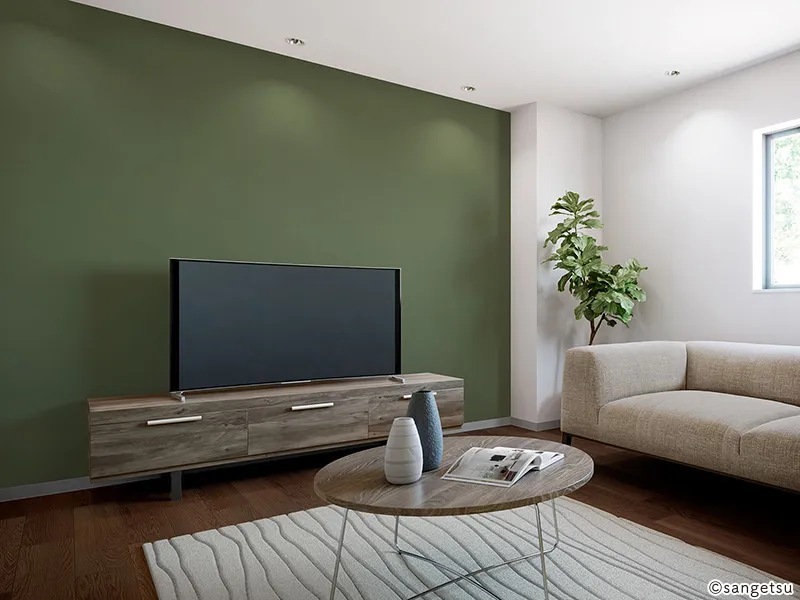 FE78266 – Safari green (2026-2029 Fine)