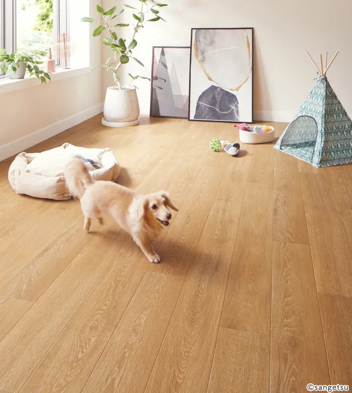 Sàn & Thảm HW12191 – Sồi carbon (2024-2027 Home Floor)