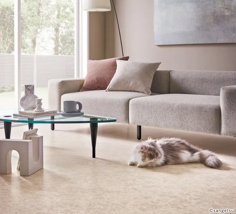 Sàn & Thảm HW12197 – Emperador (2024-2027 Home Floor)