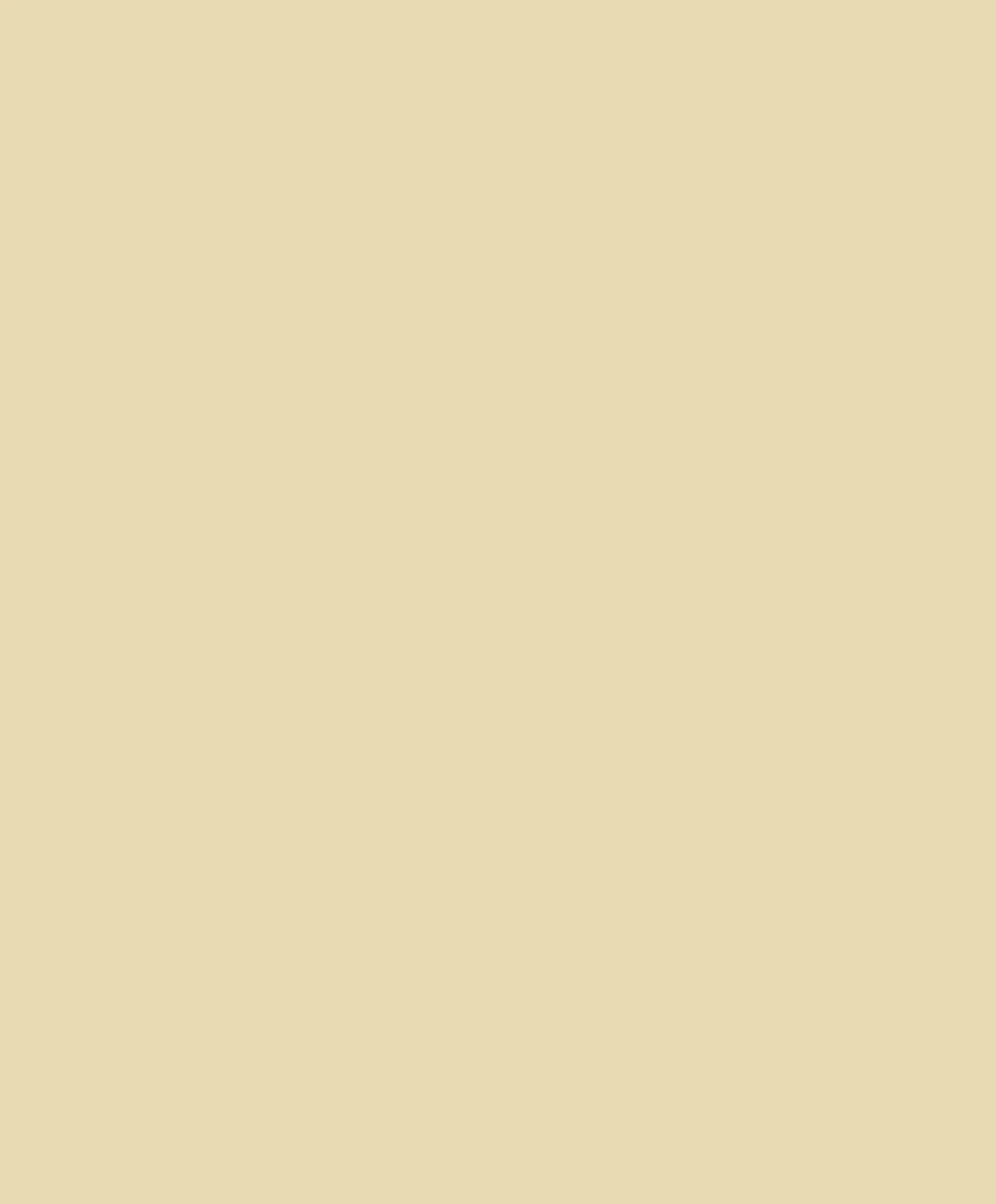PP-24314 — ảnh 2