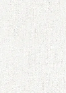 Giấy Dán Tường RE55206 – 2024-2027 Reserve (họa tiết lặp)
