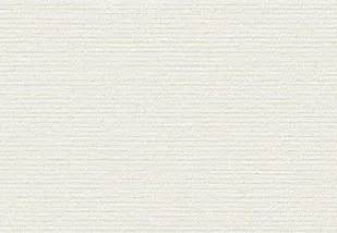 Giấy Dán Tường RE55699 – 2024-2027 Reserve (họa tiết lặp)