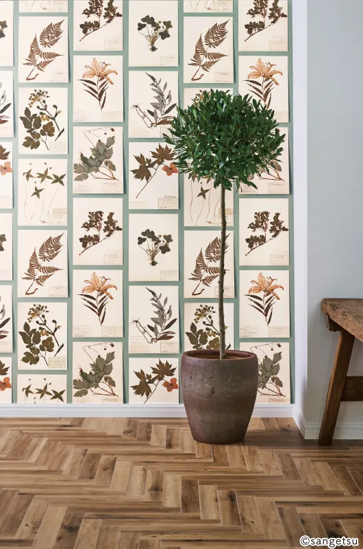 Giấy Dán Tường RE55943 – Plants (2024-2027 Reserve)