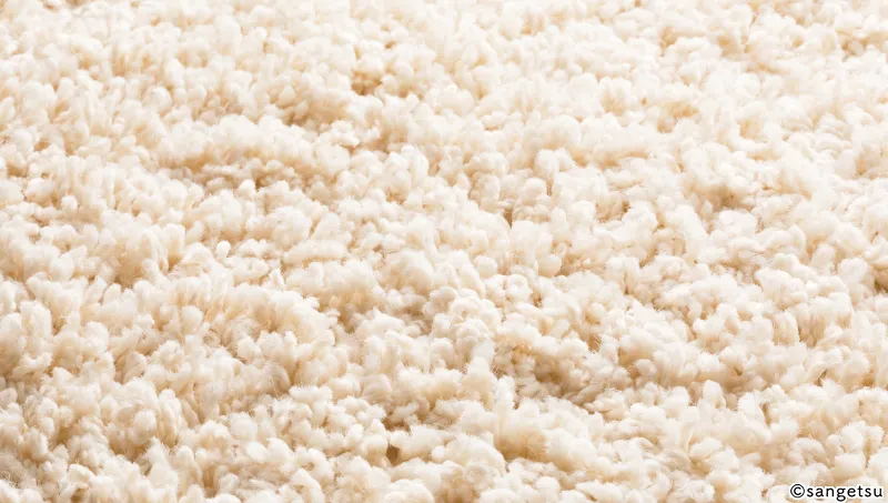 Sàn & Thảm RUG5741W – SOFT TWIST (2023-2026 Thảm Cuộn 8500) (phối cảnh 2)