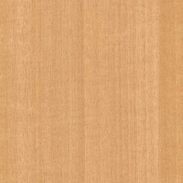 SGC158L – WILL WOOD – Giấy dán tường veneer gỗ tự nhiên (2025-2028 FAITH)