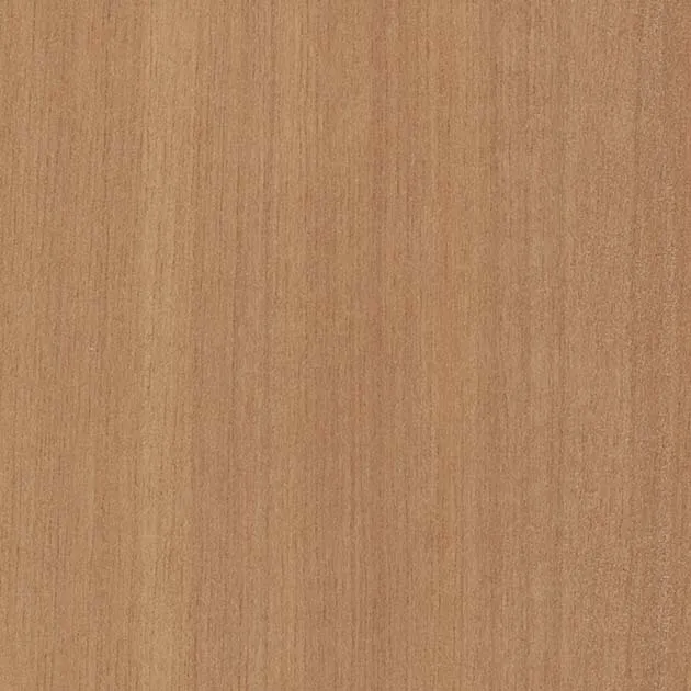 SGC160L – WILL WOOD – Giấy dán tường veneer gỗ tự nhiên (2025-2028 FAITH)