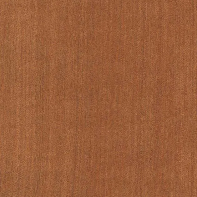 SGC162L – WILL WOOD – Giấy dán tường veneer gỗ tự nhiên (2025-2028 FAITH)