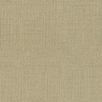 Giấy Dán Tường SGP1598 – Tela (2025-2029 Brand & Pattern XSELECT) (họa tiết lặp)