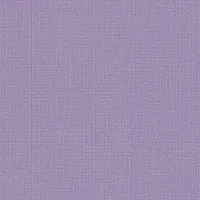 Giấy Dán Tường TH34061 – VIVID (2025-2028 FAITH) (họa tiết lặp)