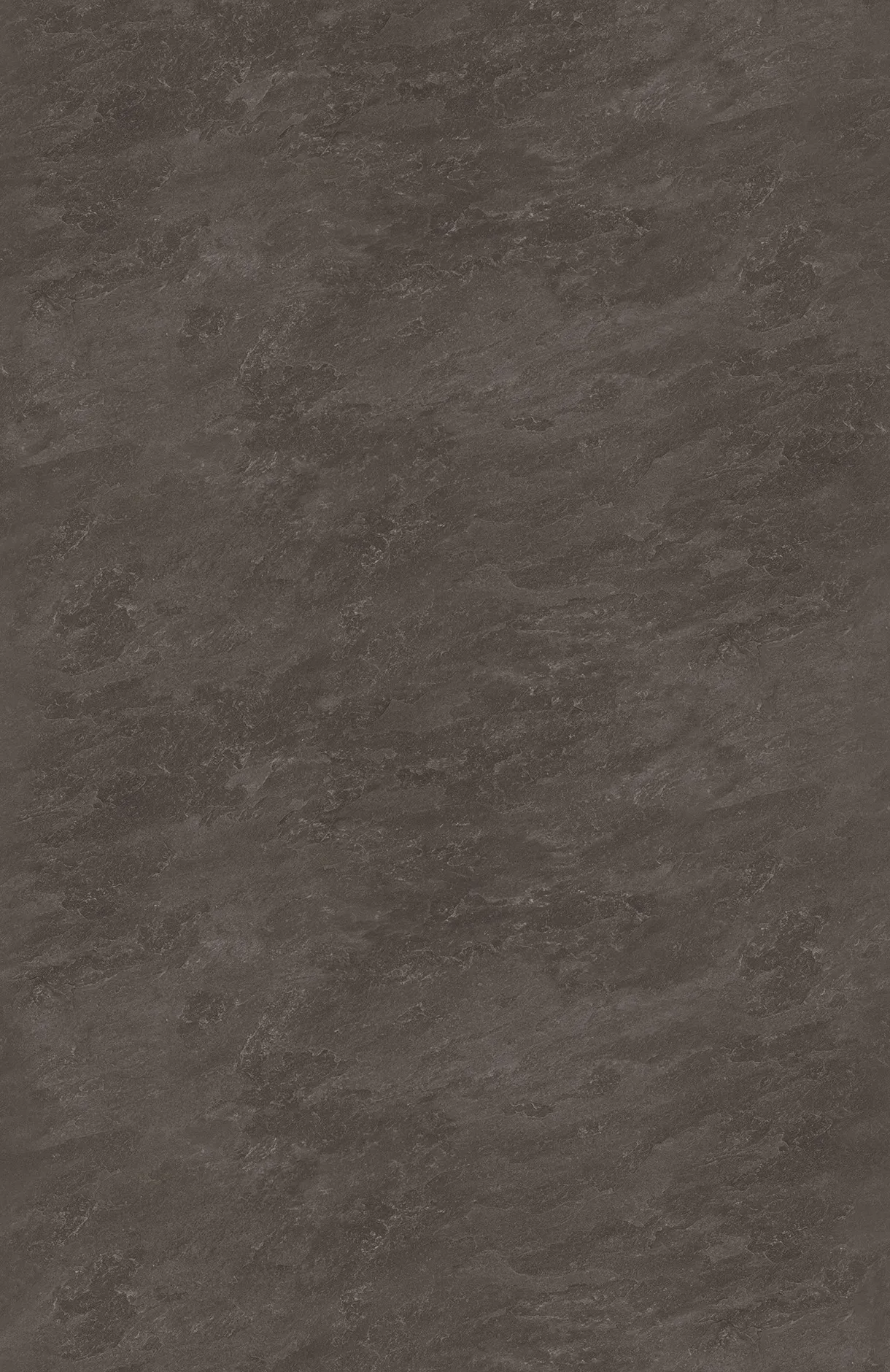 TN-5324 — ảnh 3