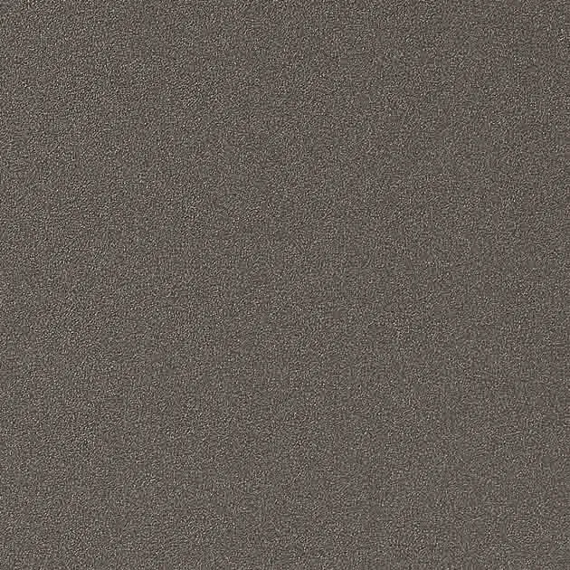 Film Dán Kính TR-5542 – Warm Gray (2024-2026 Reatech Vol.12) (mẫu vật liệu)