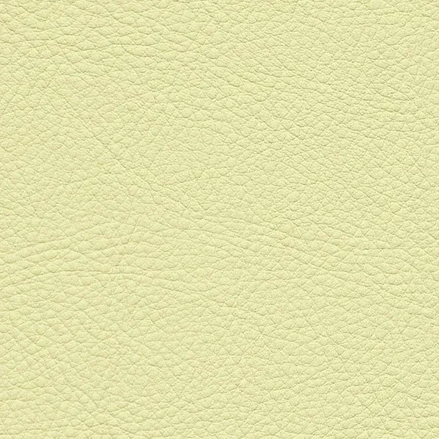 UP15143 – 2023 Da Vinyl Màu (COLOR LEATHER)
