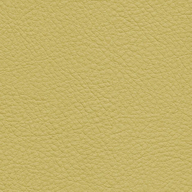 UP15144 – 2023 Da Vinyl Màu (COLOR LEATHER)