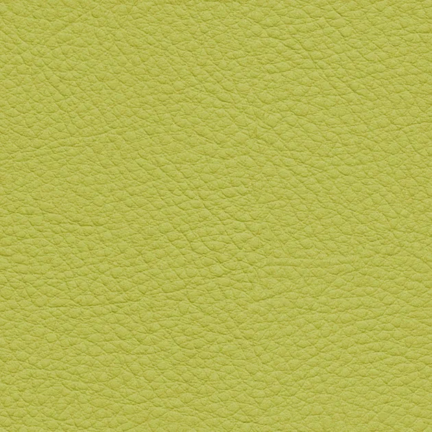 UP15145 – 2023 Da Vinyl Màu (COLOR LEATHER)