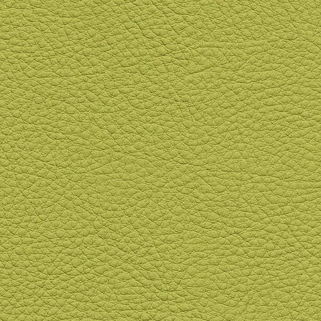 UP15146 – 2023 Da Vinyl Màu (COLOR LEATHER)