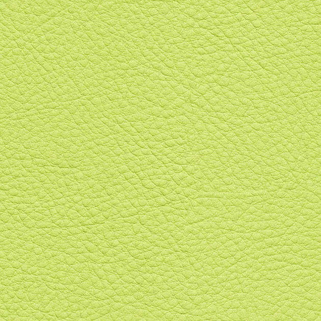 UP15147 – 2023 Da Vinyl Màu (COLOR LEATHER)