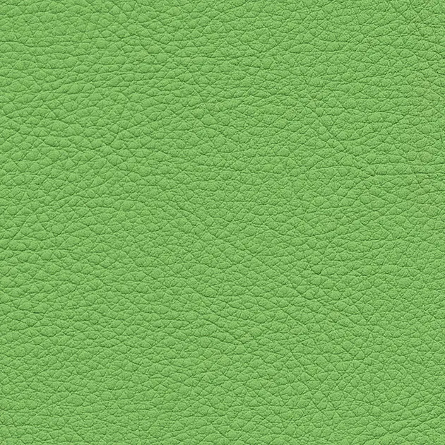 UP15148 – 2023 Da Vinyl Màu (COLOR LEATHER)