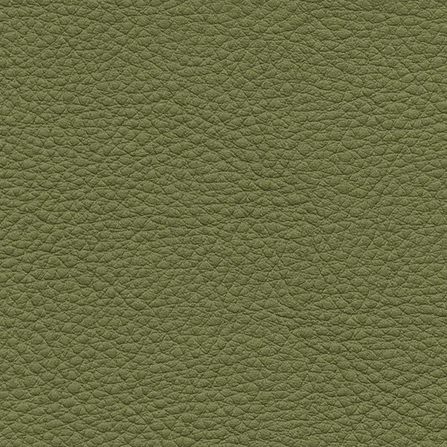 UP15149 – 2023 Da Vinyl Màu (COLOR LEATHER)