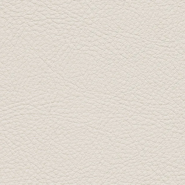 UP5031 – Color Leather (2024-2028 UP)
