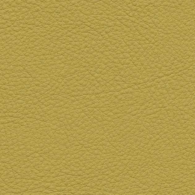 Vải Bọc Ghế UP5078 – Color Leather (2024-2028 UP) (mẫu vật liệu)