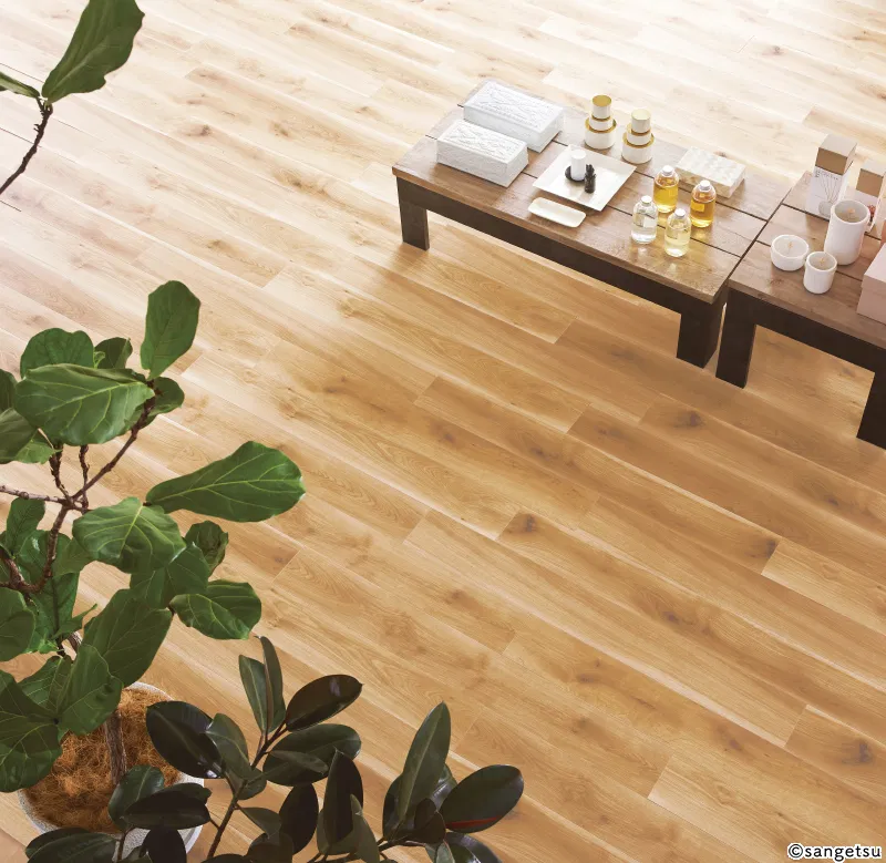 WD-2029 – sở trường của gỗ sồi (2023-2026 Gạch Vinyl (Floor Tile))