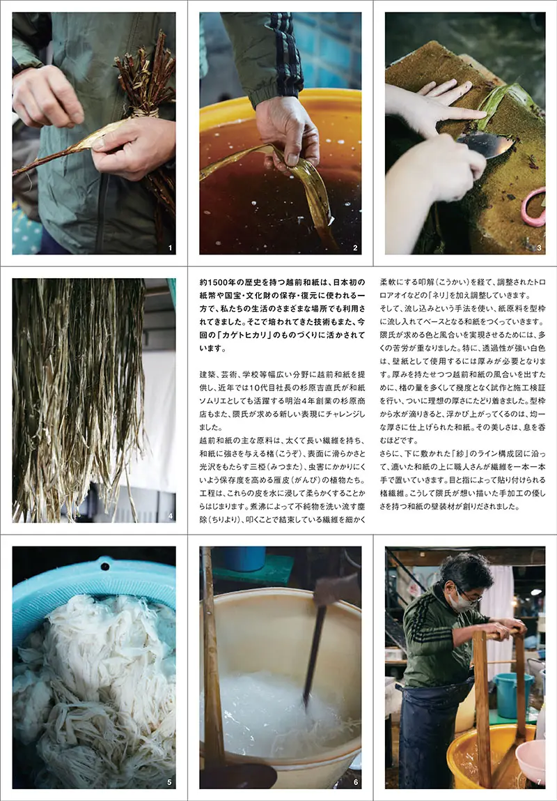 ÁNH SÁNG VÀ BÓNG TỐI " KAGE TO HIKARI"